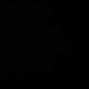 Meet your Posher, Lyca